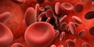 What is Role of Platelets in The Body